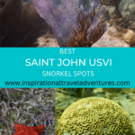 ST JOHN USVI SNORKEL SPOTS