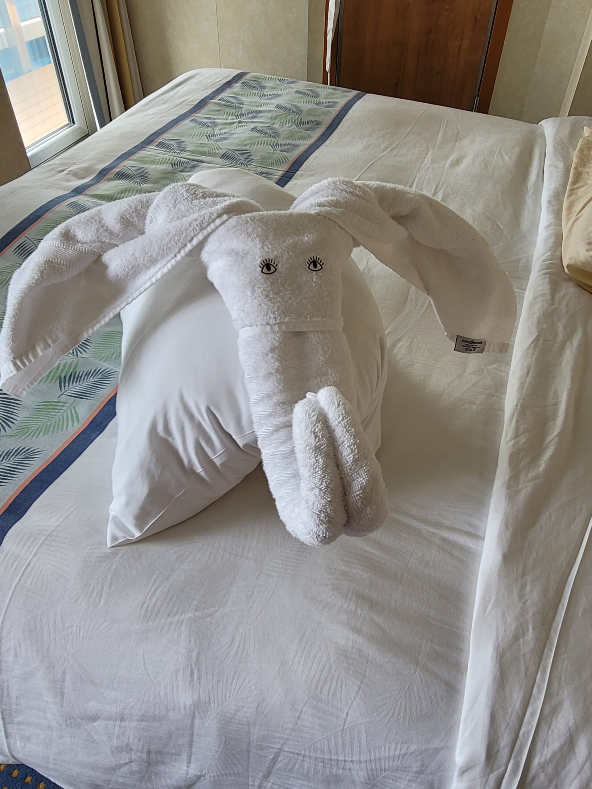 CRUISE VISTA TOWEL ART